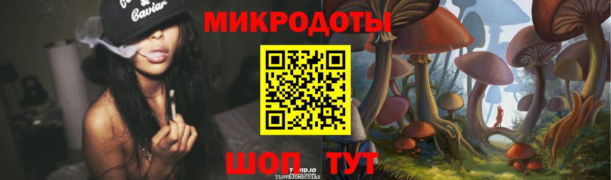 Галлюциногенные грибы Psilocybine cubensis  Вход с VPN  Псилоцибиновые грибы прущие грибы  Сунжа 