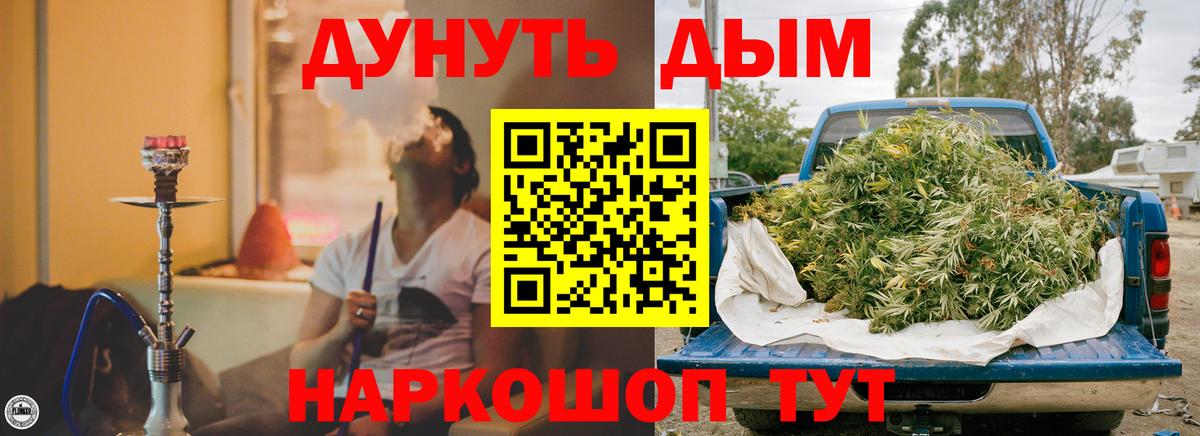 МАРИХУАНА конопля Сунжа